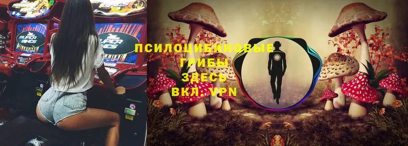 Псилоцибиновые грибы Magic Shrooms  Канаш 