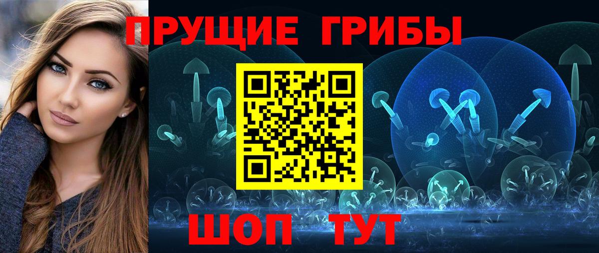 Канаш  Псилоцибиновые грибы Psilocybe  сколько стоит  Вход с VPN  Псилоцибиновые грибы GOLDEN TEACHER 